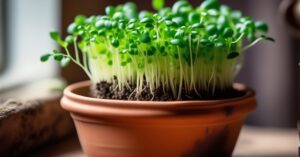 Rzeżucha pomysły: Wiosenna ozdoba i wielkanocne dekoracje DIY